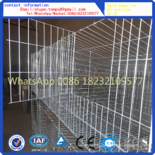 Rabbit Cages Widely Exported to Africa